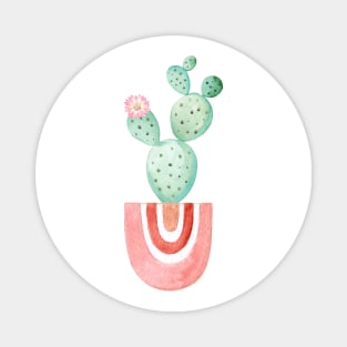 Watercolor cactus in pink pot Magnet